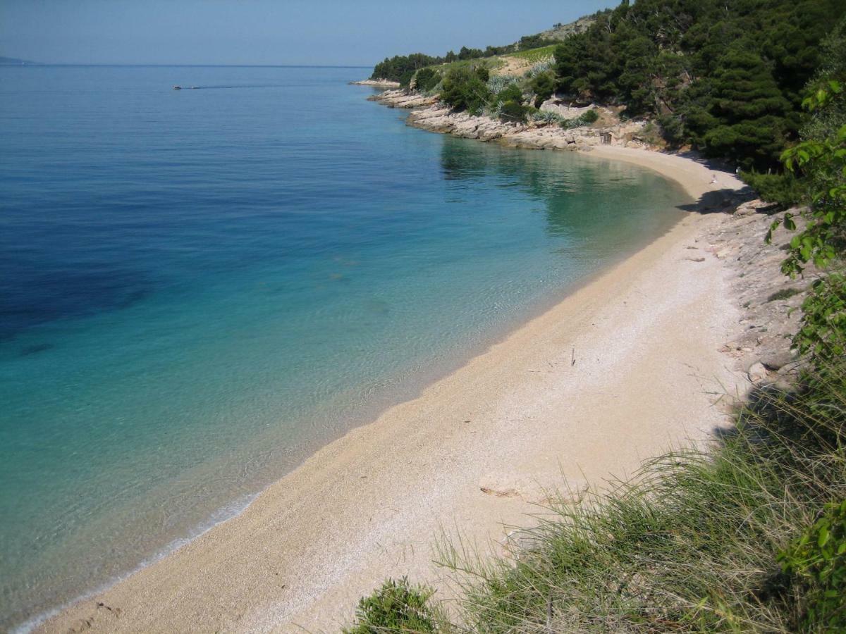 Villa Lipa Dora Мурвица Екстериор снимка